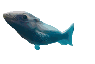 kintrala