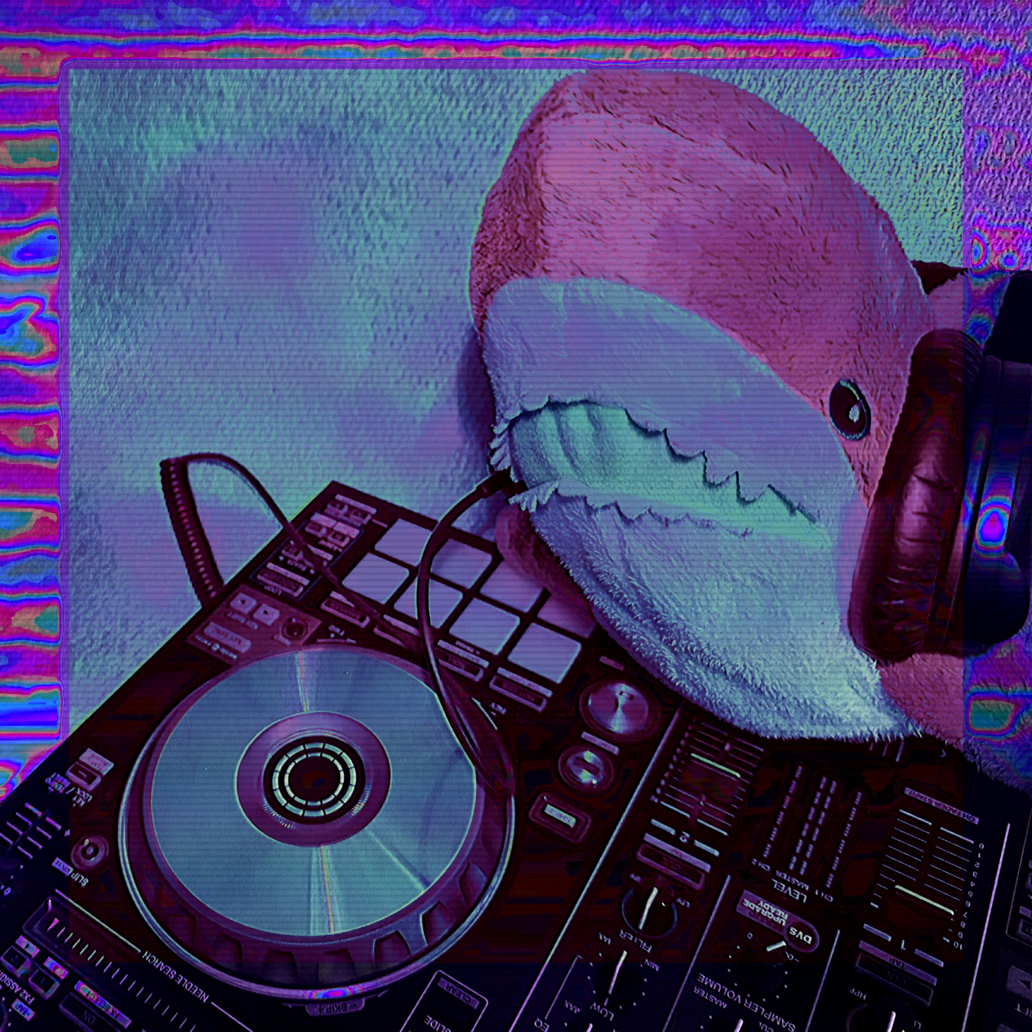 sharked_up